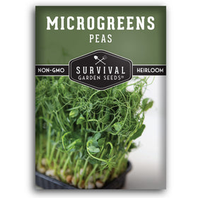 Survival Garden Seeds pea microgreens shoots closeup, perfect for quick indoor snacking.
