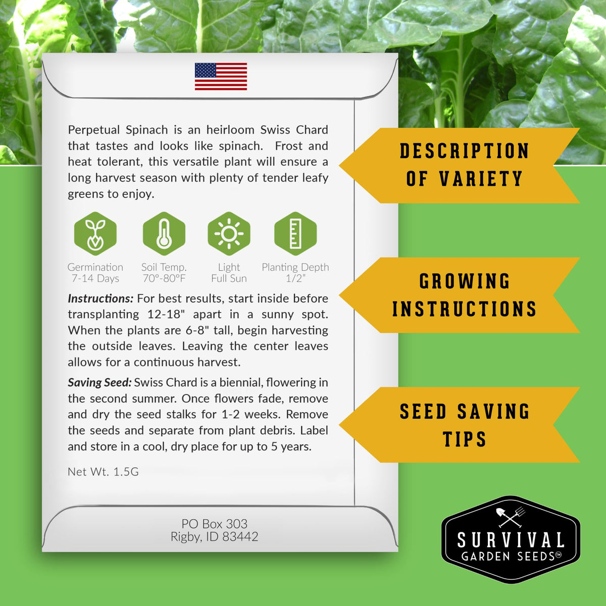 Survival Garden Seeds Perpetual Spinach plants reach 18–24 inches tall.