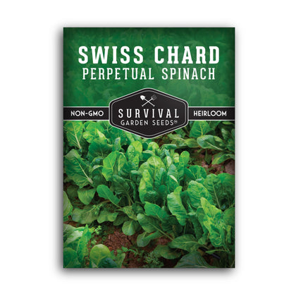 Survival Garden Seeds Perpetual Spinach seeds germinate quickly for rapid greens.