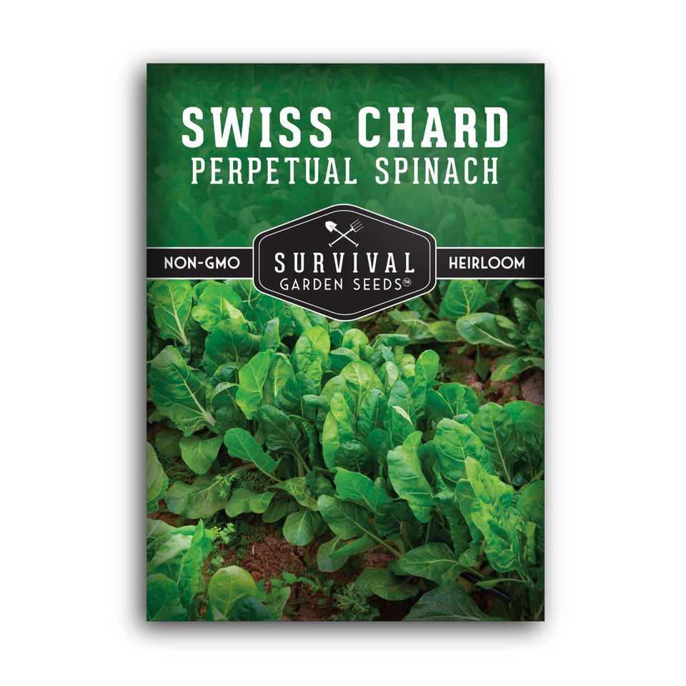 Survival Garden Seeds Perpetual Spinach seeds germinate quickly for rapid greens.