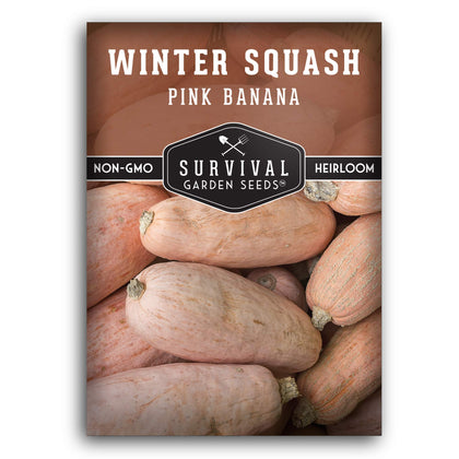 SURVIVAL GARDEN SEEDS pink banana winter squash seeds pack for a high-yield harvest.