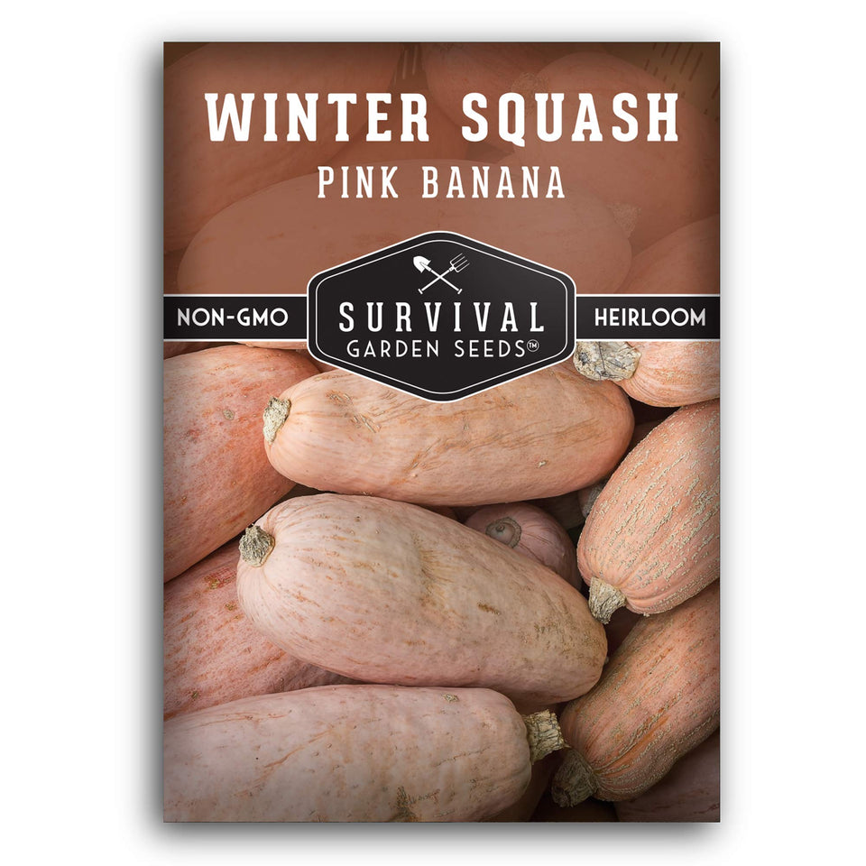 SURVIVAL GARDEN SEEDS pink banana winter squash seeds pack for a high-yield harvest.