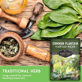 Survival Garden Seeds Plantain seeds packaging display highlights heritage and non-GMO promise