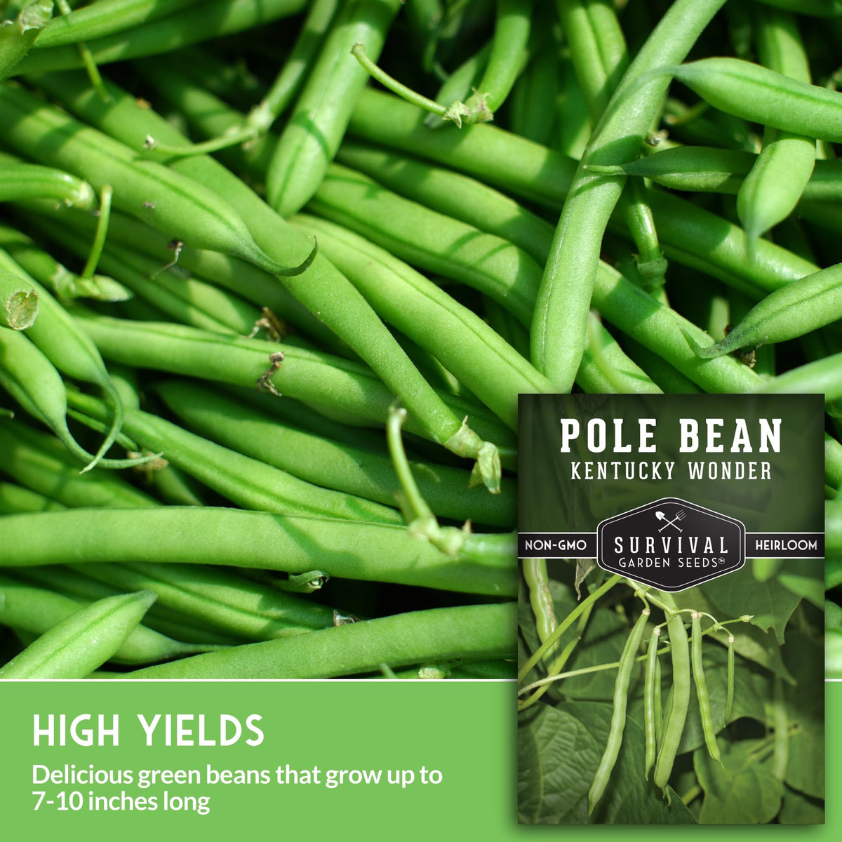 Survival Garden Seeds pole bean seeds pack displayed for easy planting and identification.