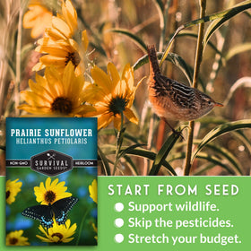 Survival Garden Seeds pollinator-friendly display shows bees visiting blooms.