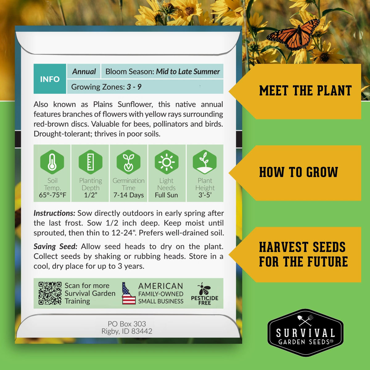 Survival Garden Seeds prairie sunflowers bloom close-up for vibrant late-summer color and wildlife habitat.