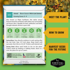 Survival Garden Seeds prairie sunflowers bloom close-up for vibrant late-summer color and wildlife habitat.