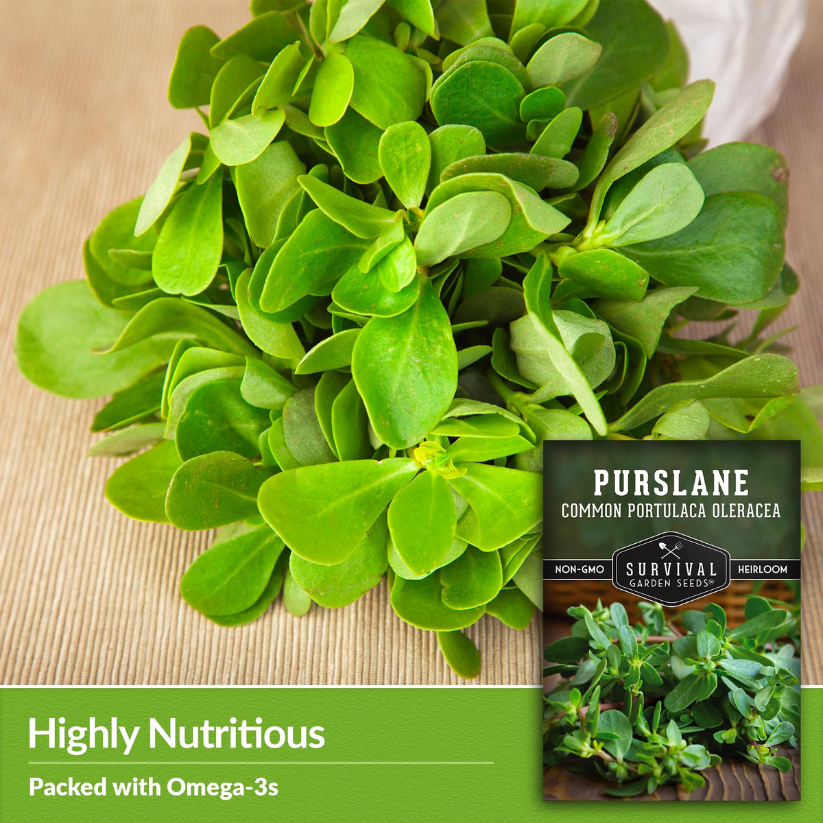 SURVIVAL GARDEN SEEDS purslane ground cover spreading across soil for weed suppression