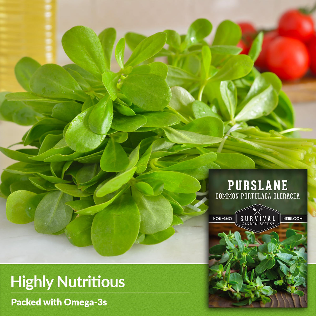 SURVIVAL GARDEN SEEDS purslane harvest—young leaves ideal for salads and soups