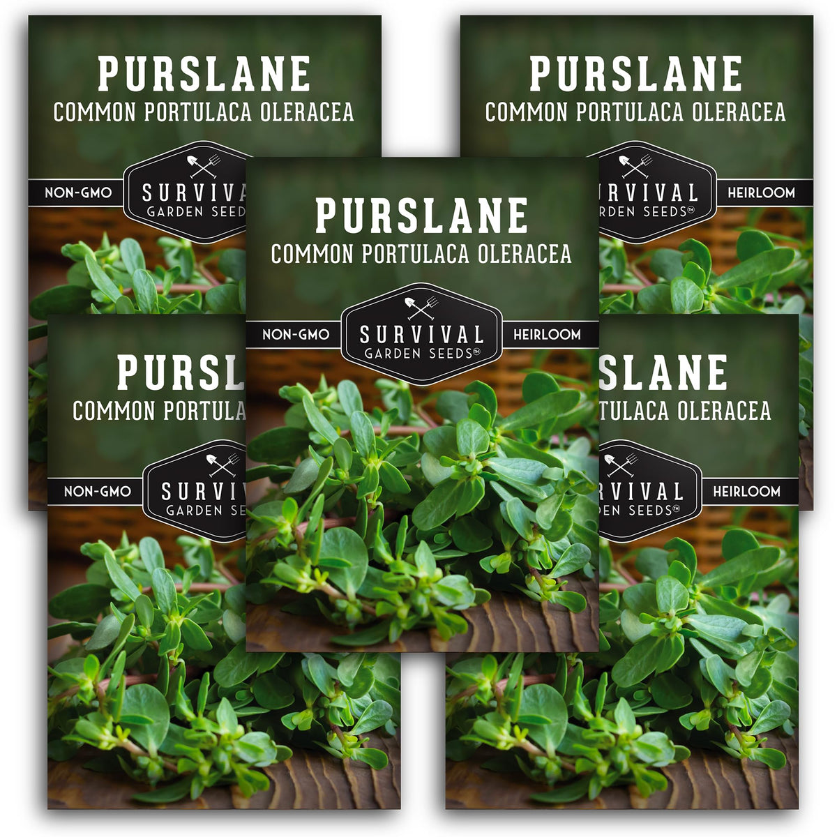 SURVIVAL GARDEN SEEDS purslane seeds bag—heirloom starter for home gardens