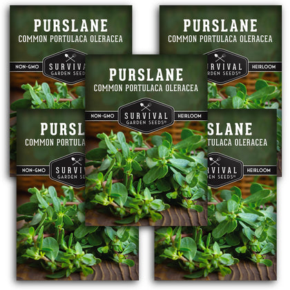 SURVIVAL GARDEN SEEDS purslane seeds bag—heirloom starter for home gardens