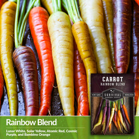 SURVIVAL GARDEN SEEDS Rainbow Carrot Seeds – orange carrots for traditional flavor with visual pop.