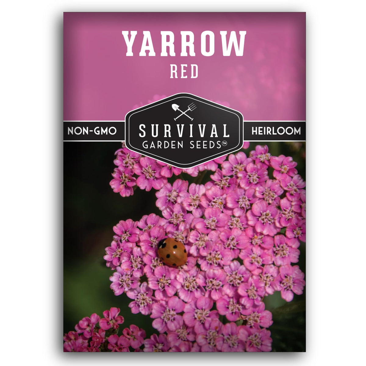 SURVIVAL GARDEN SEEDS red-pink-yarrow-bloom for colorful cottage gardens.