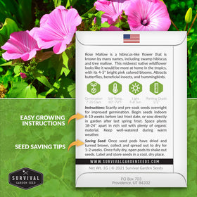 SURVIVAL GARDEN SEEDS Rose Mallow seedling under sun brightens borders.