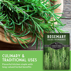 Survival Garden Seeds rosemary harvest on a fresh sprig.