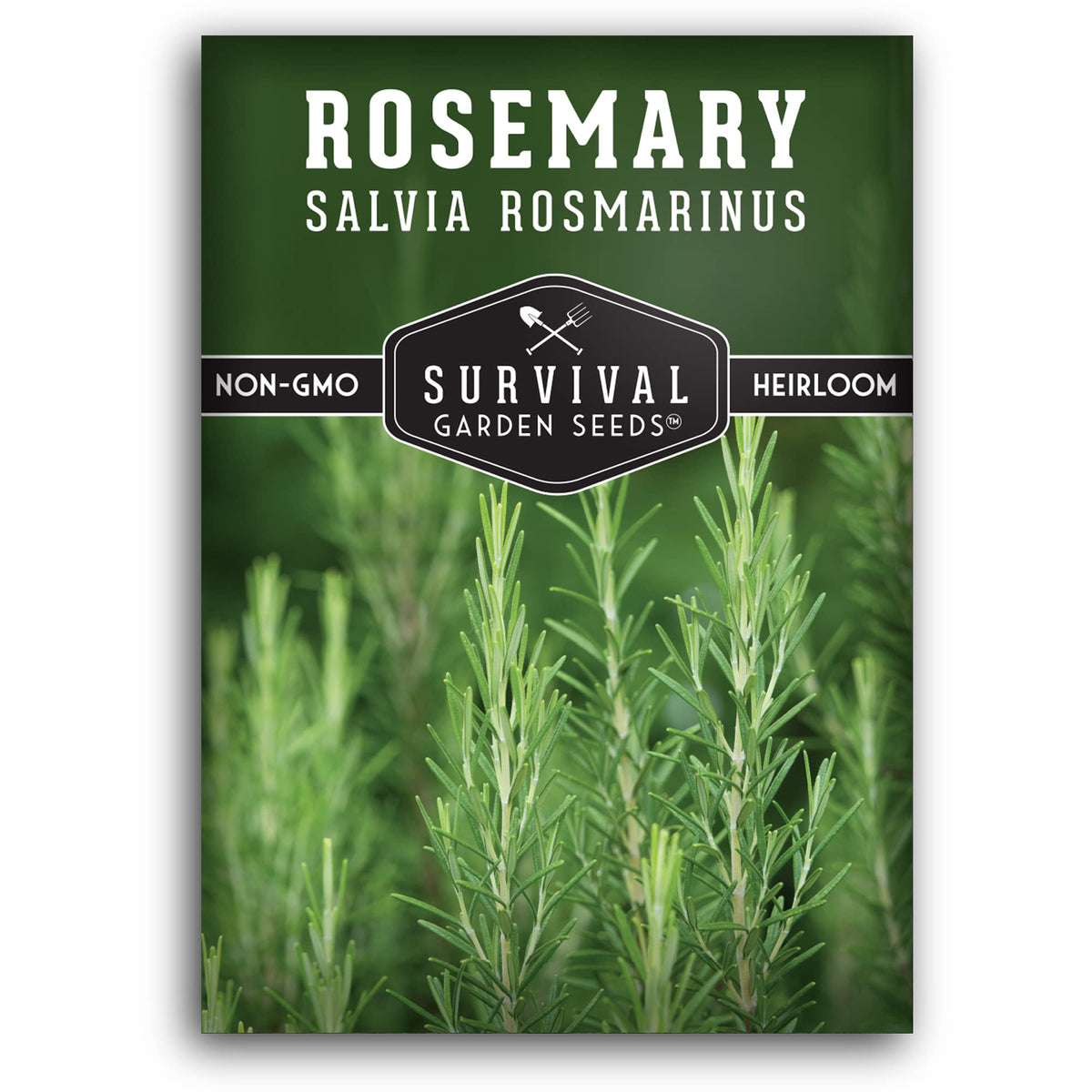 Survival Garden Seeds rosemary seeds pack for fresh, home-grown herbs.