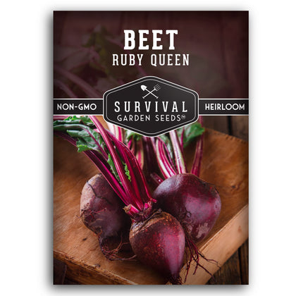 Survival Garden Seeds Ruby Queen beet seeds packet for easy sowing.