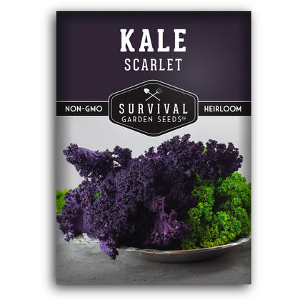 Survival Garden Seeds scarlet kale seeds pack for vibrant fall color and flavor
