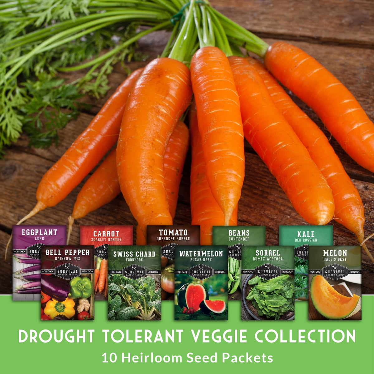 Scarlet Nantes Carrot from Survival Garden Seeds ideal for warm soil.