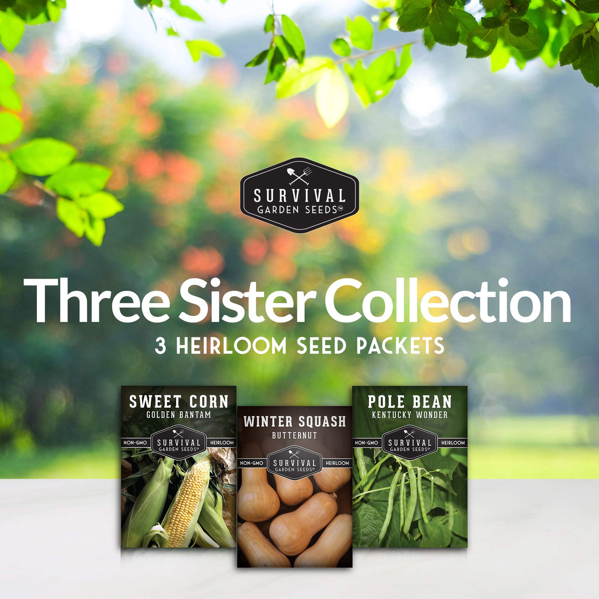 Survival Garden Seeds seed packets in hand highlight durable, open-pollinated heirloom varieties.