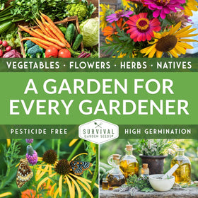 SURVIVAL GARDEN SEEDS seed packets with multiple packs for classroom or home planting.