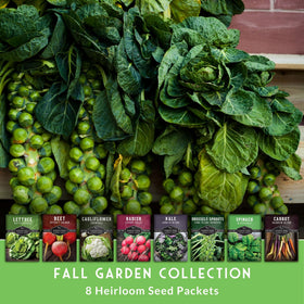 SURVIVAL GARDEN SEEDS seed packets spread ready for planning and planting.