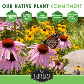 Survival Garden Seeds seed saving instructions included in the packet