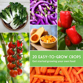 Survival Garden Seeds seed-saving instructions help beginners learn simple saving techniques