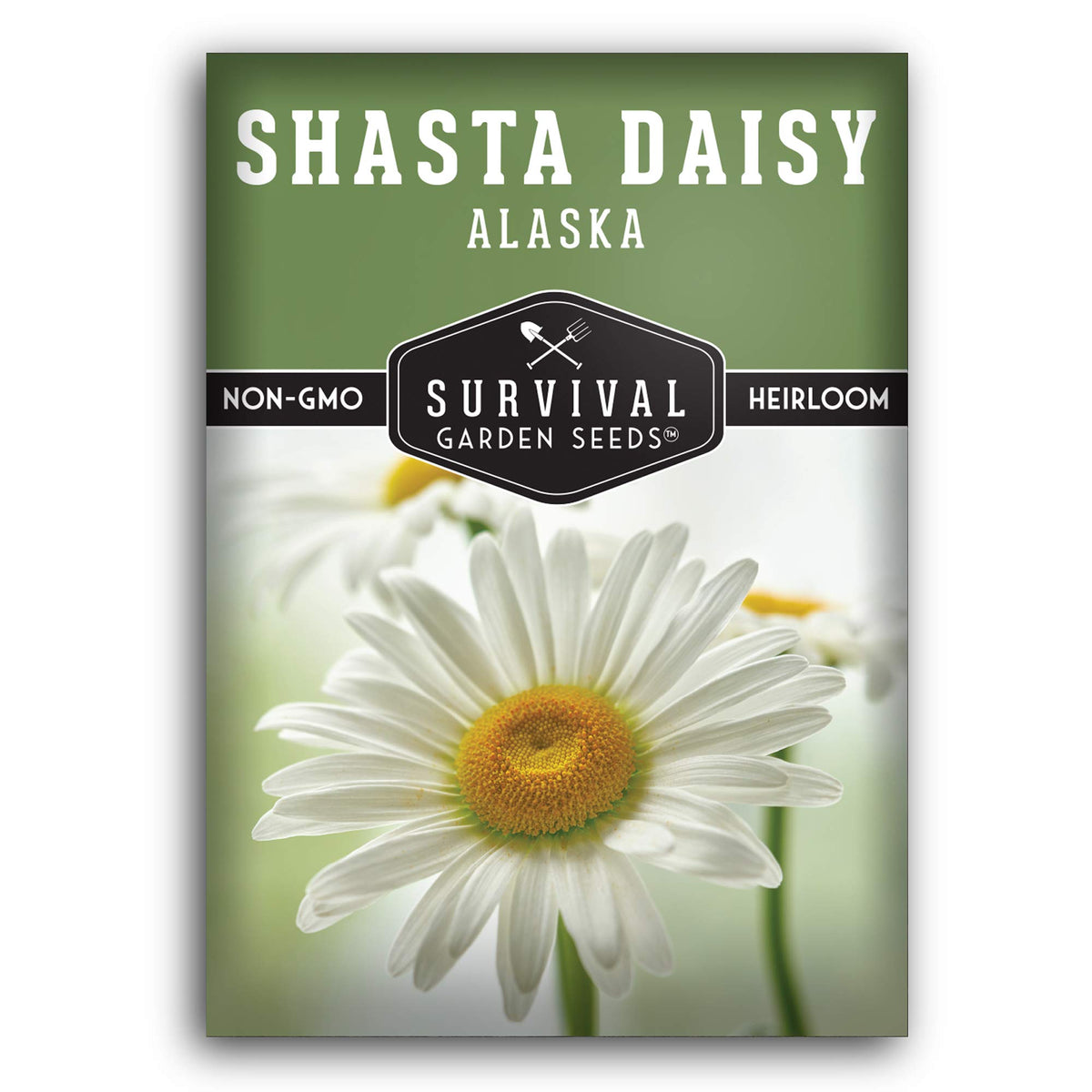 Survival Garden Seeds Shasta Daisy seeds for reliable perennial blooms