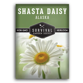 Survival Garden Seeds Shasta Daisy seeds for reliable perennial blooms