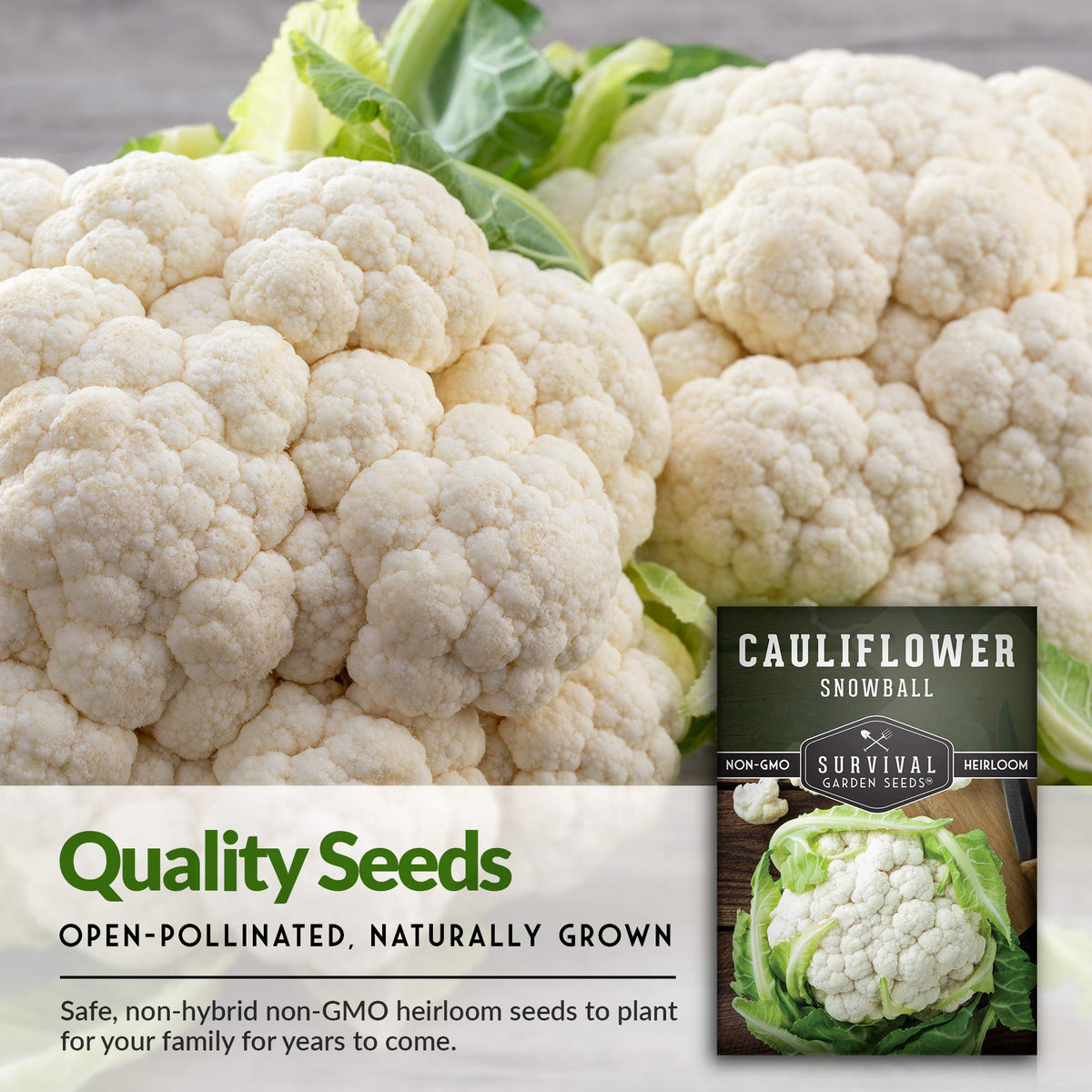 SURVIVAL GARDEN SEEDS Snowball frost-tolerant plant demonstrates cool-season resilience