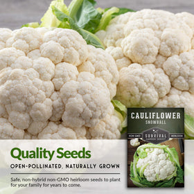 SURVIVAL GARDEN SEEDS Snowball frost-tolerant plant demonstrates cool-season resilience