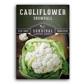 SURVIVAL GARDEN SEEDS Snowball cauliflower head closeup shows dense white curds for fresh eating