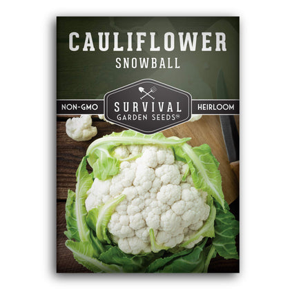 SURVIVAL GARDEN SEEDS Snowball cauliflower head closeup shows dense white curds for fresh eating