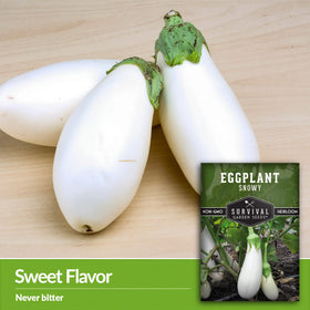 Growing Snow White eggplants in containers, SURVIVAL GARDEN SEEDS seeds offer space-saving options.