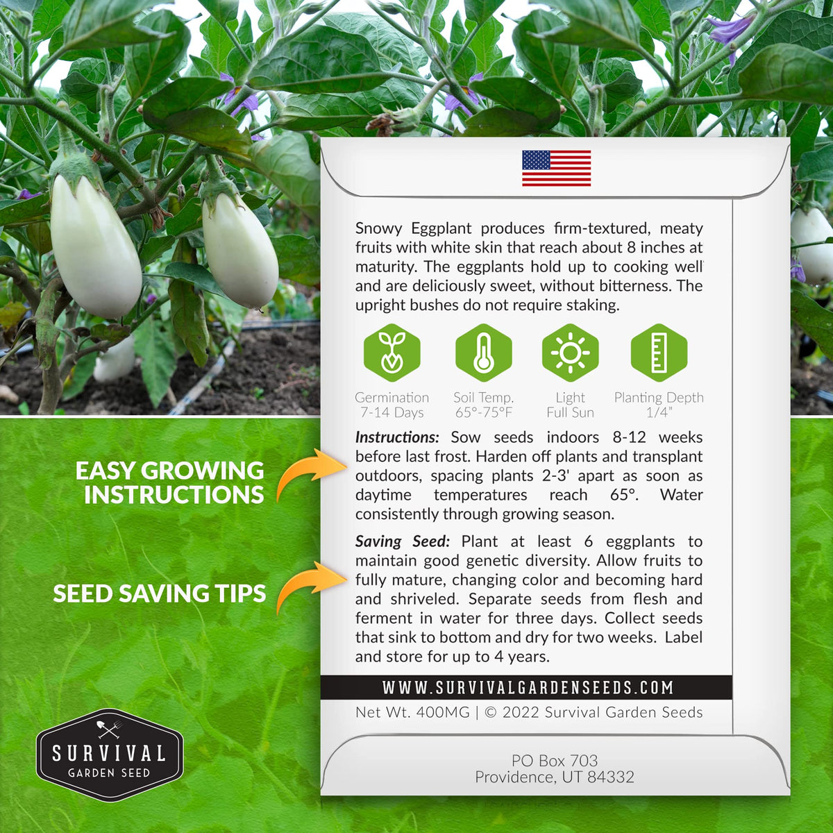 Front view of Snowy Eggplant seed packet, SURVIVAL GARDEN SEEDS, showcasing non-GMO heirloom seeds.
