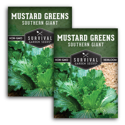 SURVIVAL GARDEN SEEDS Southern Giant mustard baby leaves for fresh, spicy salads.