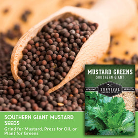 SURVIVAL GARDEN SEEDS Southern Giant mustard growing well in a container garden.