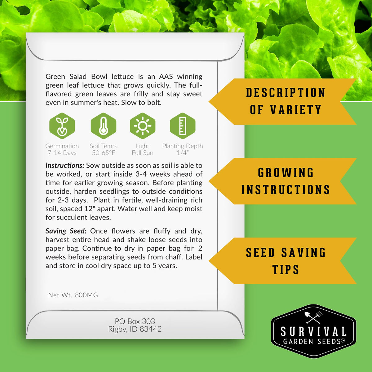 SURVIVAL GARDEN SEEDS spinach seed pack, lush indoor greens ideal for quick salads