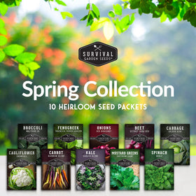 SURVIVAL GARDEN SEEDS seed packets laid out for a diverse cool-season garden.