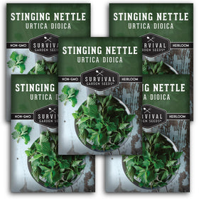 SURVIVAL GARDEN SEEDS stinging nettle seeds for planting in beds, fresh greens ahead