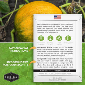 Survival Garden Seeds Styrian pumpkin shows green-striped hulless fruit for harvest