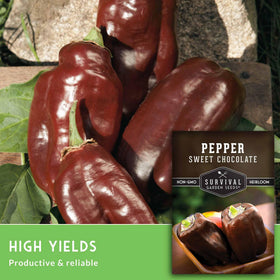 survival garden seeds closeup brown pepper fruit showing unique color