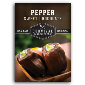 survival garden seeds sweet chocolate pepper plant thriving in full sun for fresh harvest