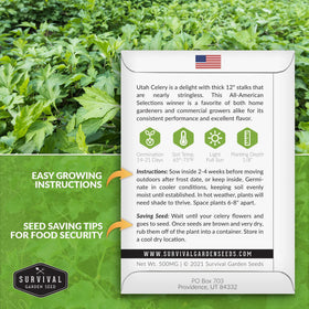 Survival Garden Seeds Tall Utah celery plants growing upright in garden