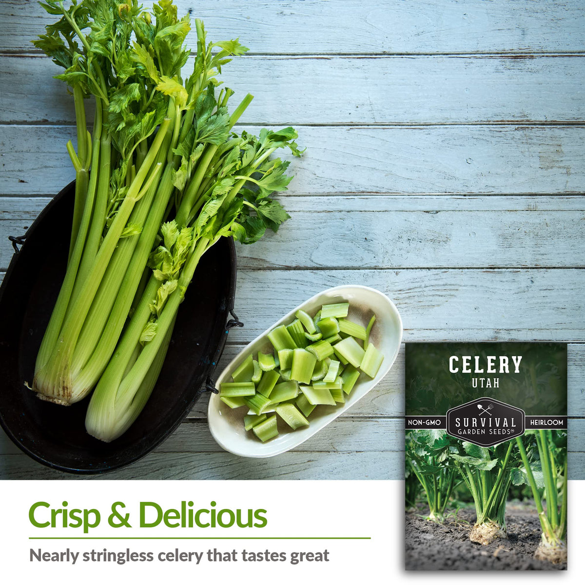 Survival Garden Seeds Tall Utah celery stalks close-up show crisp ribs