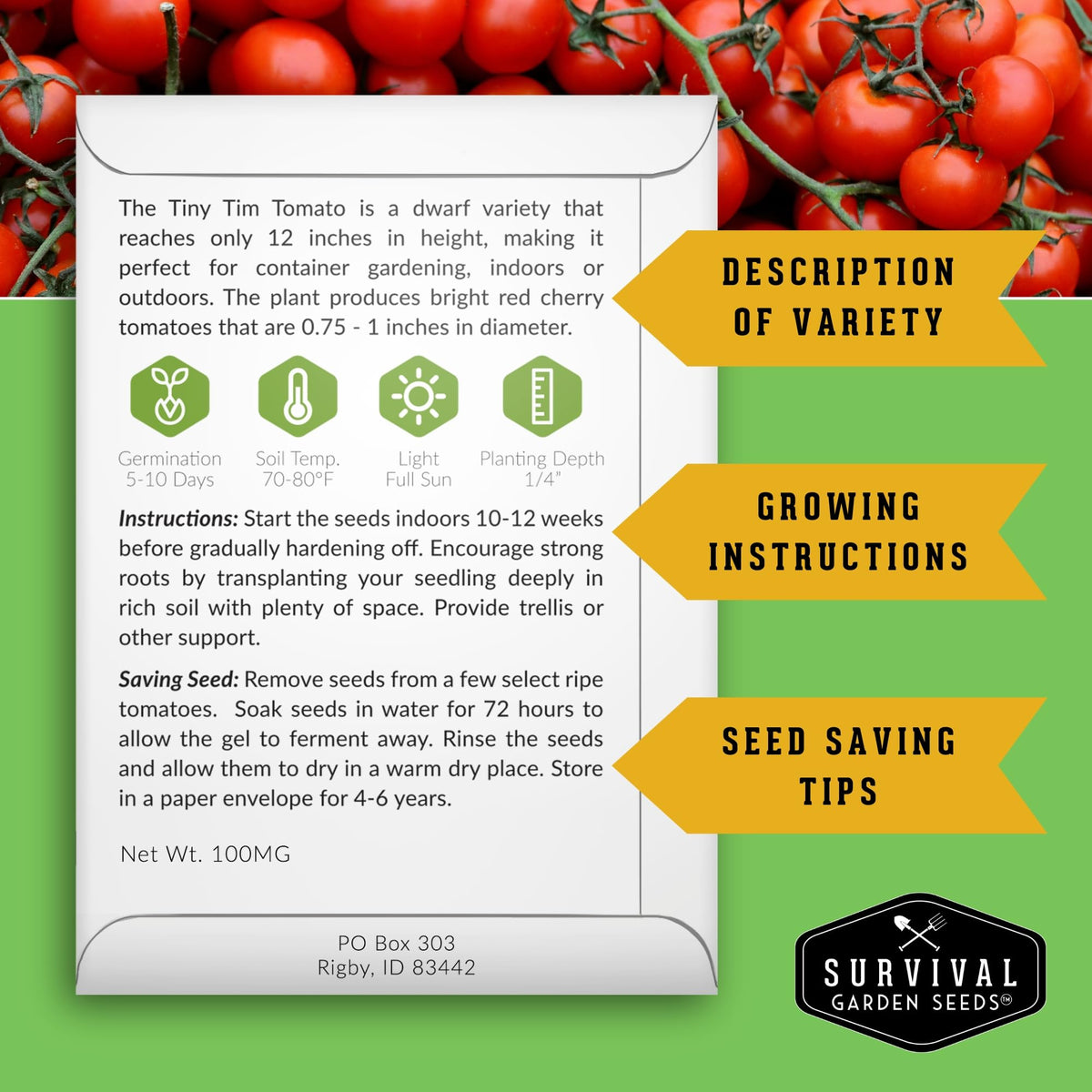 SURVIVAL GARDEN SEEDS Tiny Tim on vine, showing dwarf cherry tomatoes for small spaces.