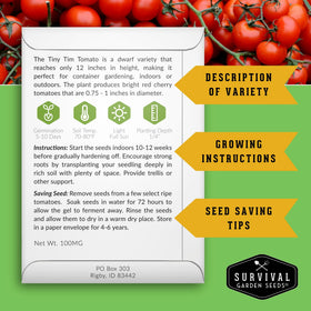 SURVIVAL GARDEN SEEDS Tiny Tim on vine, showing dwarf cherry tomatoes for small spaces.