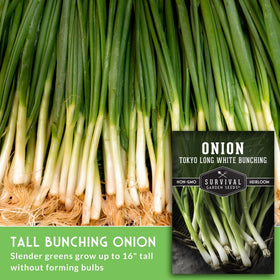 SURVIVAL GARDEN SEEDS Tokyo Long White Bunching Onion green stalks ideal for fresh slicing
