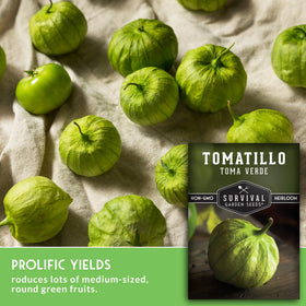 SURVIVAL GARDEN SEEDS heavy-yield harvest of tomatillos.